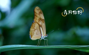 六月份工作总结5篇