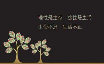 关于励志作文600字5篇