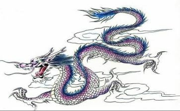 龙的作文模板模板6篇