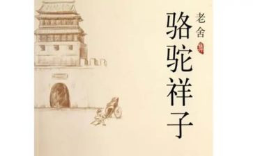 卖骆驼读后感300字优秀7篇