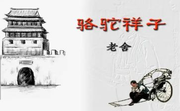 老舍骆驼祥子心得体会7篇