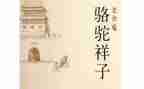 卖骆驼读后感300字优秀7篇