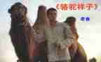 骆驼的祥子心得体会最新5篇