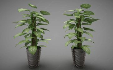 绿化2024年工作总结范文7篇