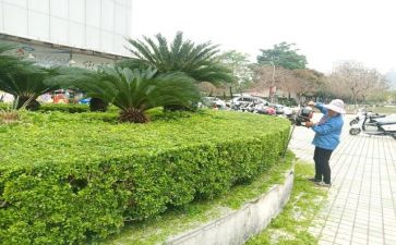 绿化工年度工作总结推荐8篇