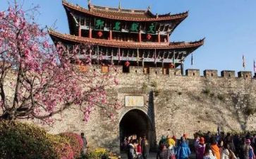 关于去旅游的作文600字8篇