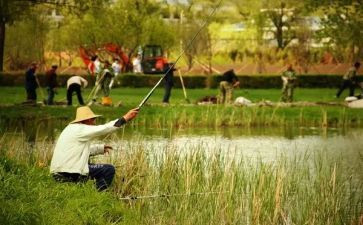 忙了一天的工作总结优秀7篇