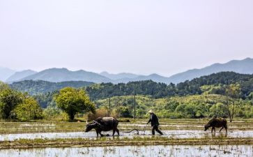 忙了一天的工作总结推荐7篇