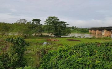 忙了一天的工作总结5篇