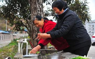 大学生食堂满意度调查报告8篇