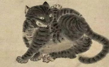 《猫》演讲稿5篇