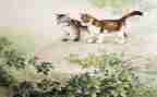 《猫》演讲稿推荐8篇