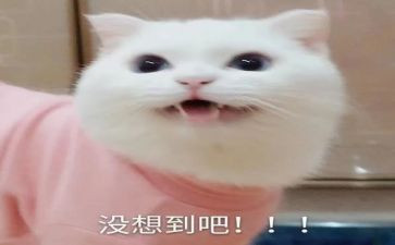 我真没想到的作文7篇
