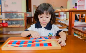 幼儿蒙数培训总结7篇