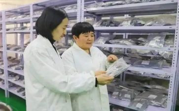 蒙医工作总结报告优质5篇