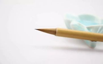 ___真让我着迷作文通用7篇
