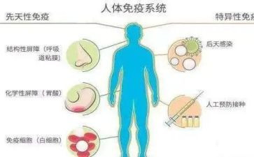 计划免疫月工作计划8篇