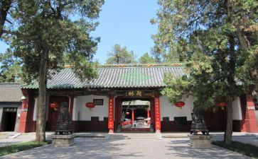 泰山庙心得体会6篇