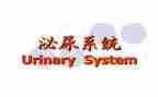 泌尿外科实习的自我鉴定5篇