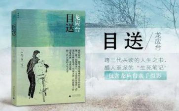 目送目送读后感6篇