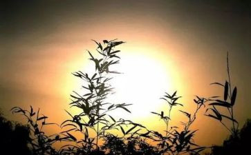 难忘的这一天作文400字8篇