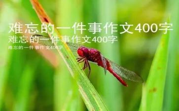 《我最难忘的一件事》作文5篇