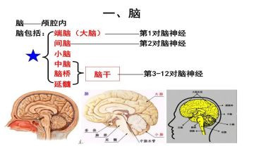买电脑的作文优质7篇