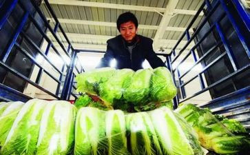 农产品代理合同推荐8篇
