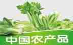 农产品代理合同通用7篇