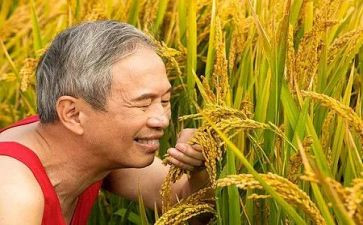 农夫和鹰读后感参考8篇