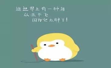 小班健康胖和瘦教案通用5篇