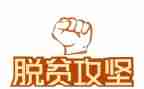 脱贫攻坚心得体会参考5篇