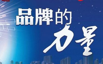 品牌心得体会8篇
