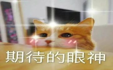 2024我期待作文推荐5篇