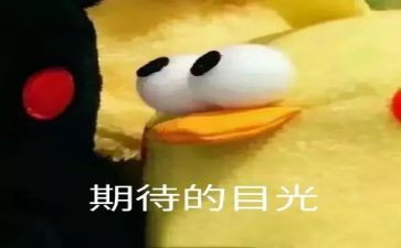 期待作文500字作文5篇