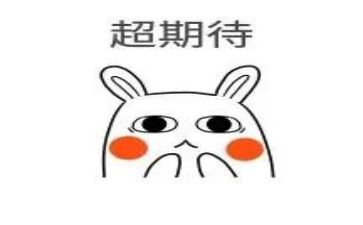 2024我期待作文参考6篇