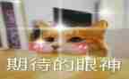 2024我期待作文推荐5篇