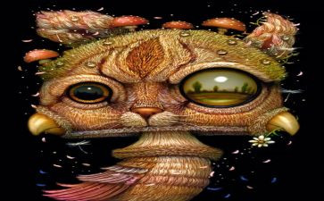 少年派的奇幻漂流观后感6篇