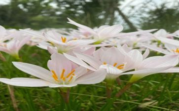 亲近作文600字5篇