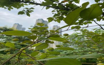 亲近·感悟作文6篇