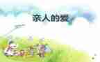 关爱亲人的作文6篇