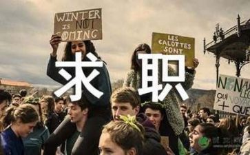 求职个人简历模板6篇