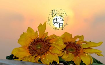 教师七月份工作计划7篇