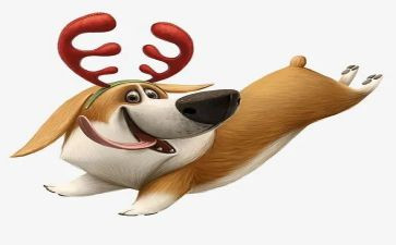 猎犬读后感模板6篇