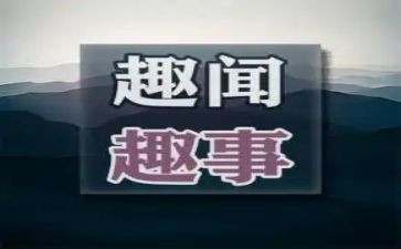 《校园趣事》作文优秀5篇
