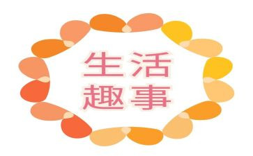 2024春节趣事作文800字作文7篇