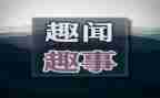 国庆去趣事作文最新6篇