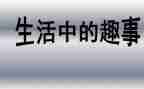 《家庭趣事》作文精选8篇