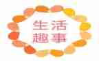 2024春节趣事作文800字作文7篇