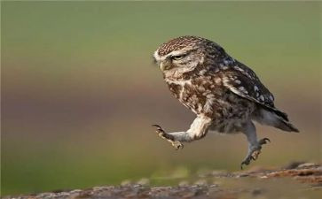 趣味工会活动方案5篇